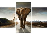 90X60CM OBRAZ SŁOŃ TRZY OBRAZY