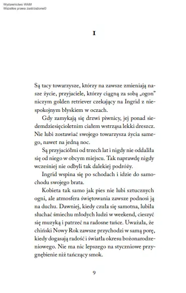 Muszę Cię Odnaleźć zdjęcie 15