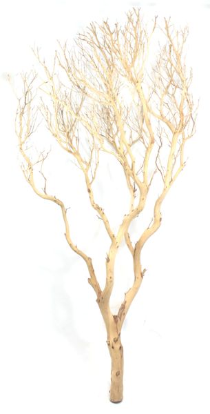 Korzeń dekoracyjny Drift Wood zdjęcie 1