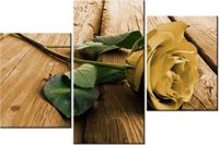 60 90CM OBRAZ 3 ELEM CIEKAWA RÓŻA ŚCIENNY DRUK PŁÓTNO