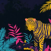 Plakat 100x100cm Tygrys w Rozdarciu