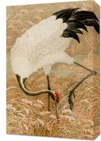 Obraz 40x60cm Sarus Crane, G.A. Audsley Japoński Vintage