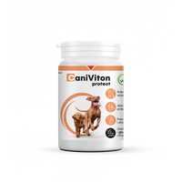 Vetoquinol Caniviton Protect 90szt