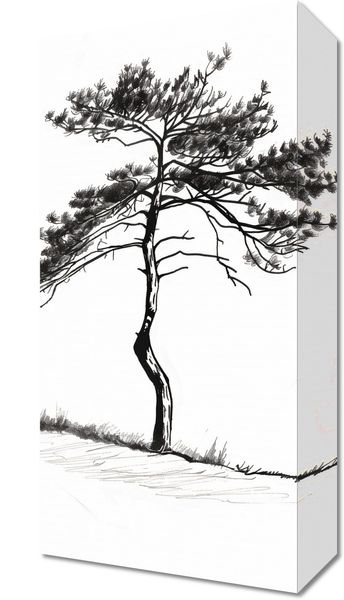 Obraz 20x40cm Samotna Sosna zdjęcie 1