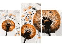 product-compare-58699926