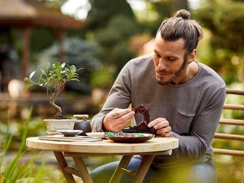 10281 - lego creator - drzewko bonsai na Arena.pl