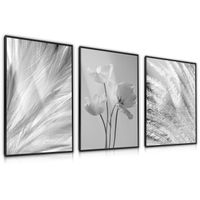 Zestaw 3X Plakat W Ramie Czarno-Białe Pióra Tulipany Kwiaty 60cm x 80cm