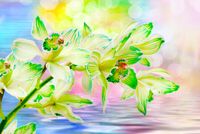 product-compare-62143337