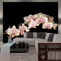 product-compare-63633190