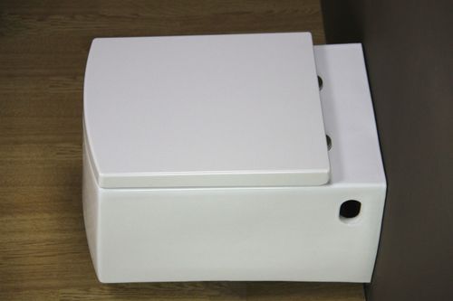 Misa WC Marcus na Arena.pl