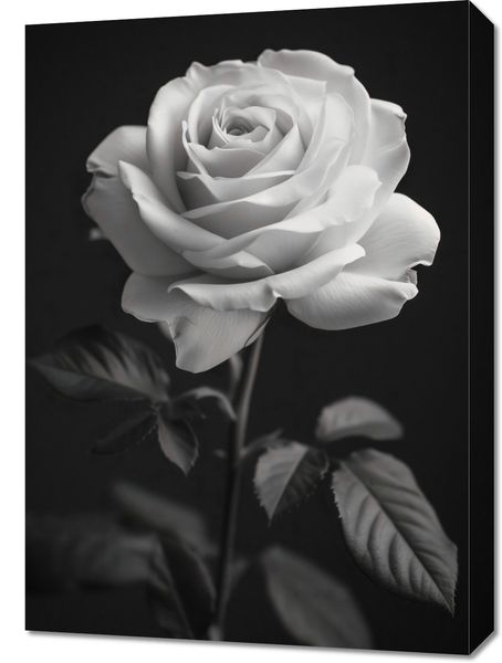 Obraz 50x70cm Płatki Róż zdjęcie 1