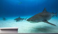 Fototapeta REKIN TYGRYSI W WODZIE BAHAMA 130x80