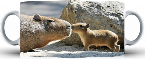 Kubek ceramiczny Kapibara na Arena.pl