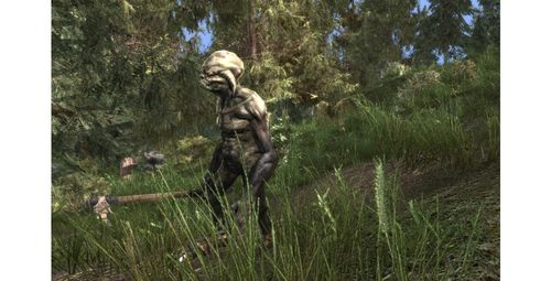 CD Projekt EK ARCANIA COLLECTION na Arena.pl