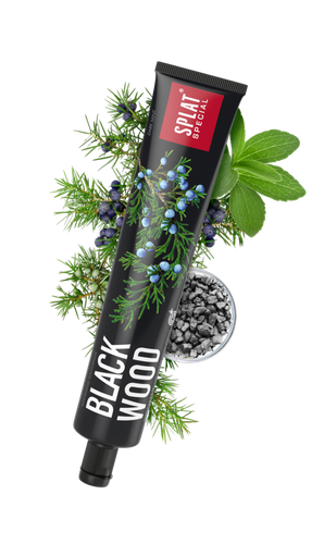 PASTA DO ZĘBÓW BLACKWOOD 75 ml - SPLAT na Arena.pl