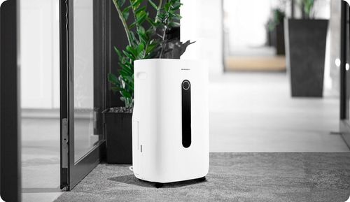 OSUSZACZ POWIETRZA KOMPRESOROWY POCHŁANIACZ WILGOCI 20l/24h HIGROSTAT na Arena.pl