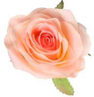 SZTUCZNE KWIATY RÓŻA GŁÓWKA DO WYRABIANIA JAK ŻYWA DUŻA