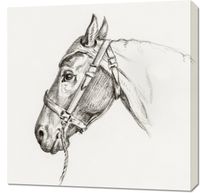 Obraz 70x70cm Głowa Konia 2, Jean Bernard Vintage do Salonu