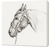 Obraz 70x70cm Głowa Konia 2, Jean Bernard Vintage do Salonu