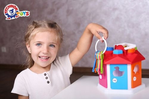 SORTER dla Dziecka ROCZNEGO Mądry Maluch Domek na Arena.pl