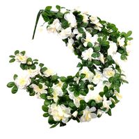 product-compare-61190244