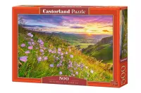 Puzzle 500 elementów. Harebells at Sunrise