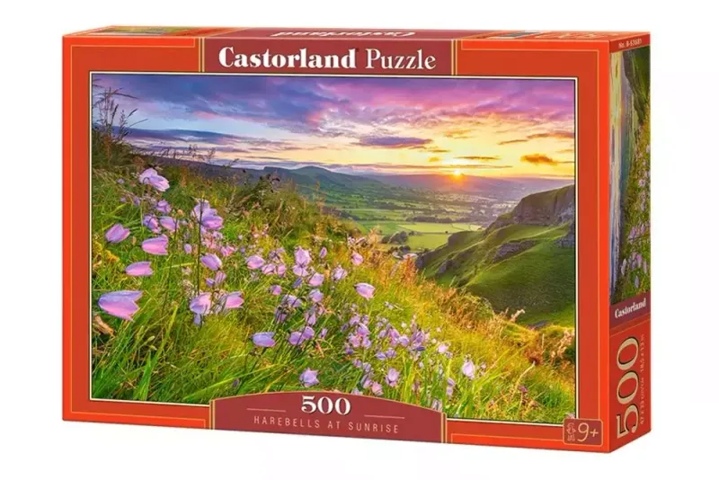 Puzzle 500 elementów. Harebells at Sunrise zdjęcie 1