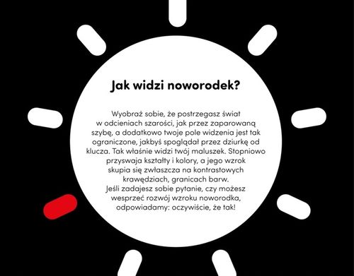 CZUCZU STARTER MALUCHA CO WIDZĘ 0-3-6 MIES.+ na Arena.pl