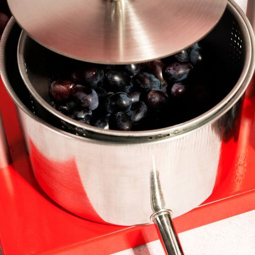 WYCISKARKA PRASA RĘCZNA DO WYCISKANIA OWOCÓW WINA SOKÓW 3L STAL na Arena.pl