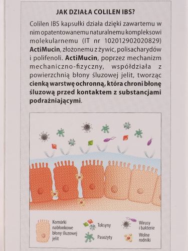 Colilen IBS - Aboca - 60 kapsułek na Arena.pl