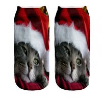 Skarpetki-stopki bawełniane fullprint KOT W CZAPCE