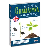 Angielski. Gramatyka w obrazkach