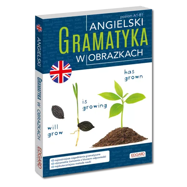 Angielski. Gramatyka w obrazkach zdjęcie 1