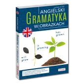 Angielski. Gramatyka w obrazkach