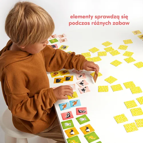 CzuCzu. Memory. Zwierzęta świata na Arena.pl