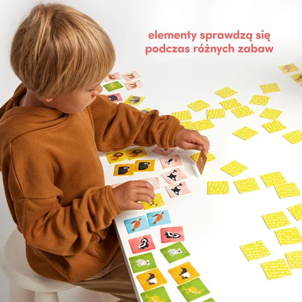 CzuCzu. Memory. Zwierzęta świata zdjęcie 7