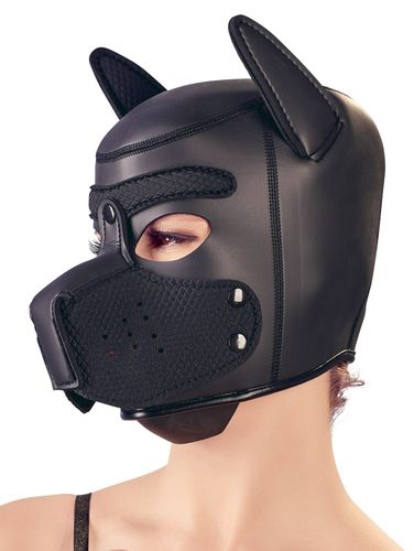 bad kitty dog mask na Arena.pl