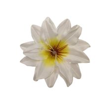 Dalia wyrobowa kremowo cytrynowa 12 szt