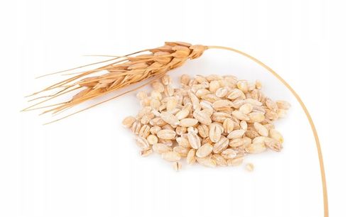 Kasza Jęczmienna 25KG Polska na Arena.pl