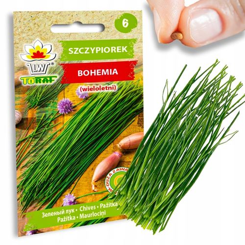 Nasiona warzyw marchew ogórek pietruszka burak NA DOBRY START UDANE PLONY na Arena.pl