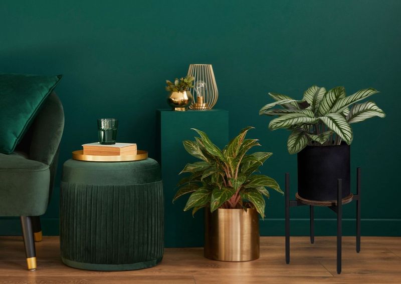 Kwietnik stojący loftowy Torre Rustic 40 cm czarny zdjęcie 7