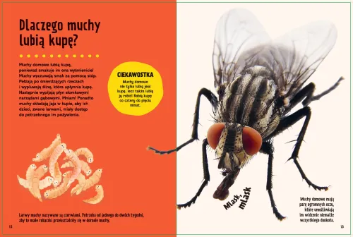 Britannica. Wielka księga pytań dlaczego? na Arena.pl