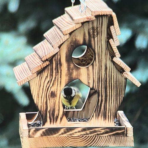 Karmnik Dla Ptaków Opalany Solidny Na Łańcuchu + 200g karmy na Arena.pl