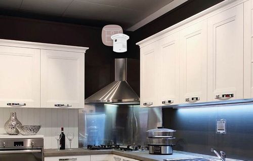 Ferguson Smart CO Detector - Czujnik czadu ZigBee (iOS/Android) na Arena.pl