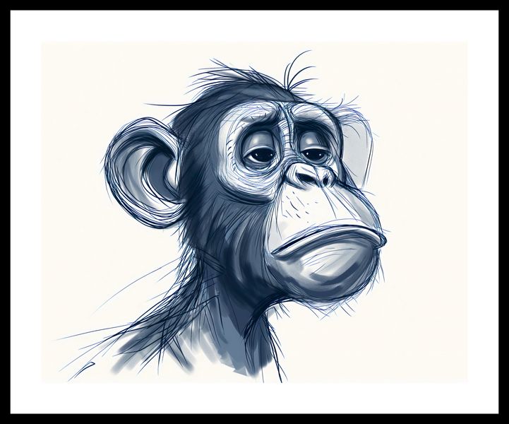 Plakat 50x40cm Zaduma zdjęcie 3