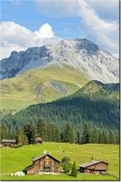 product-compare-58702549