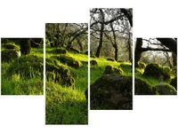 140CM 70 OBRAZ LEŚNA POLANA DON MCCULLOUGH ŚCIENNY