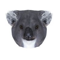 Maska na twarz Korbi MASKA LATEKSOWA KOALA lateks szary