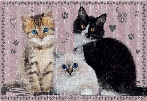 Puzzle 250 elementów. Pupile 1. Kotki na Arena.pl