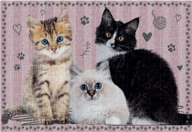 Puzzle 250 elementów. Pupile 1. Kotki zdjęcie 3